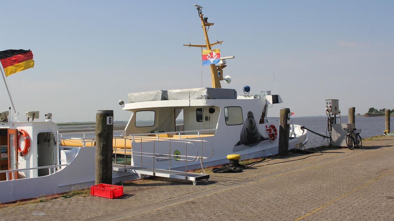 Eiderfahrten direkt hinter unserem Haus Eiderfahrten direkt hinter unserem Haus